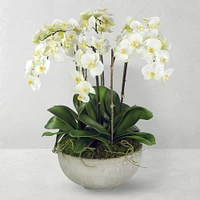 28" Faux Orchids in Planter