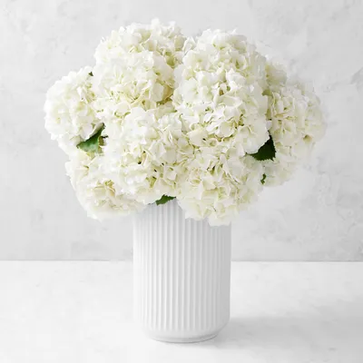 Jeff Leatham Real Touch Faux White Hydrangea Stems, Set of 12