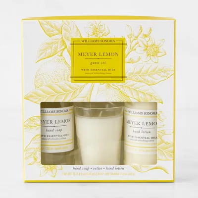 Williams Sonoma Meyer Lemon Guest Set