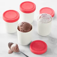 Mini Ice Cream Storage Tubs, Set of 4