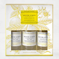 Williams Sonoma Meyer Lemon Kitchen Essentials Kit