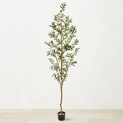 6.8' Faux Indoor Olive Tree