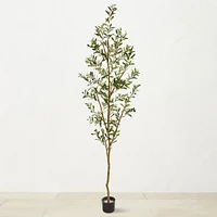 6.8' Faux Indoor Olive Tree