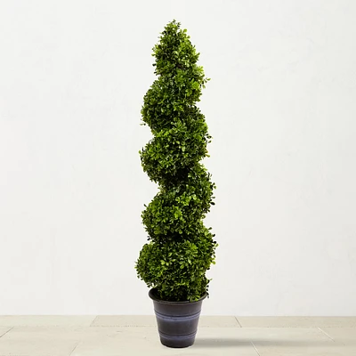 4' Faux Boxwood Spiral Indoor/Outdoor Topiary with Planter