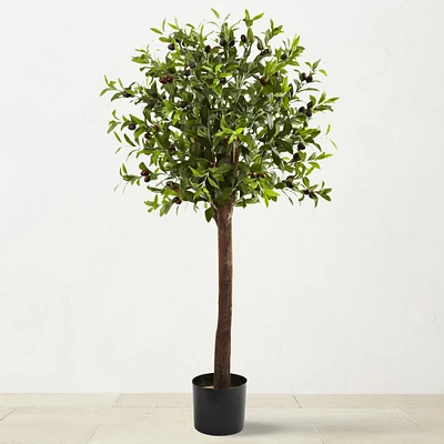 4' Faux Silk Olive Tree Indoor Topiary