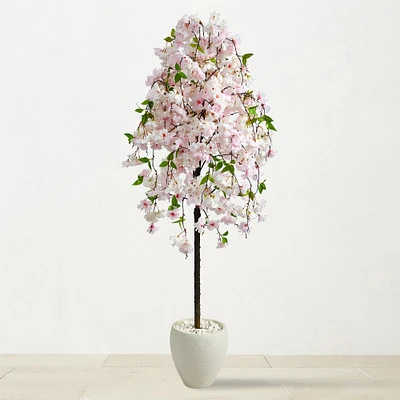 5.8' Faux Indoor Cherry Blossom Tree in White Planter