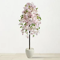 5.8' Faux Indoor Cherry Blossom Tree in White Planter