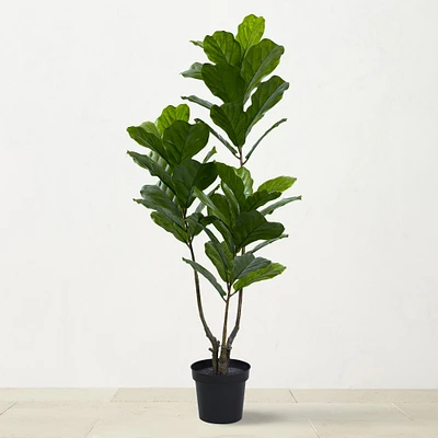 5.4' UV Resistant Faux Fiddle Leaf Tree