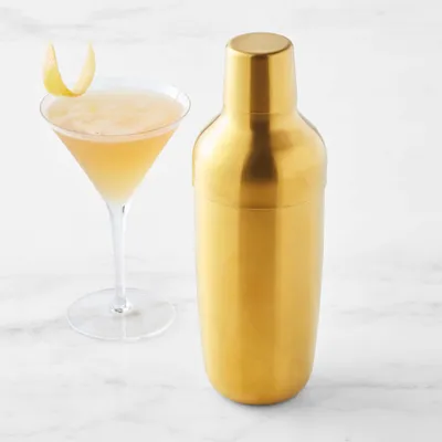 Williams Sonoma Encore Bar Double Wall Cocktail Shaker