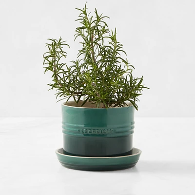Le Creuset Herb Planter with Tray