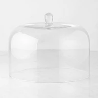 Glass Cake Dome