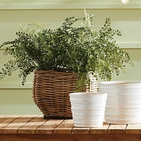 Sylvie Square Taper Basket Planter