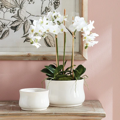 Faux Phalaenopsis Orchid Drop-In
