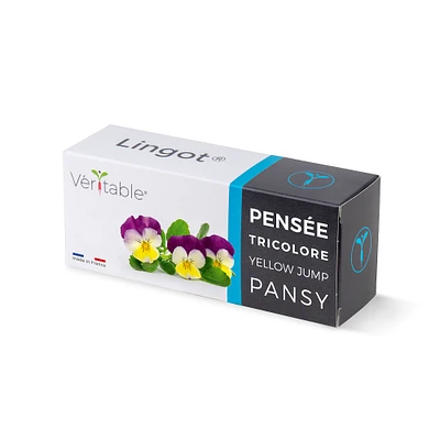 Véritable Lingot® Organic Pansy