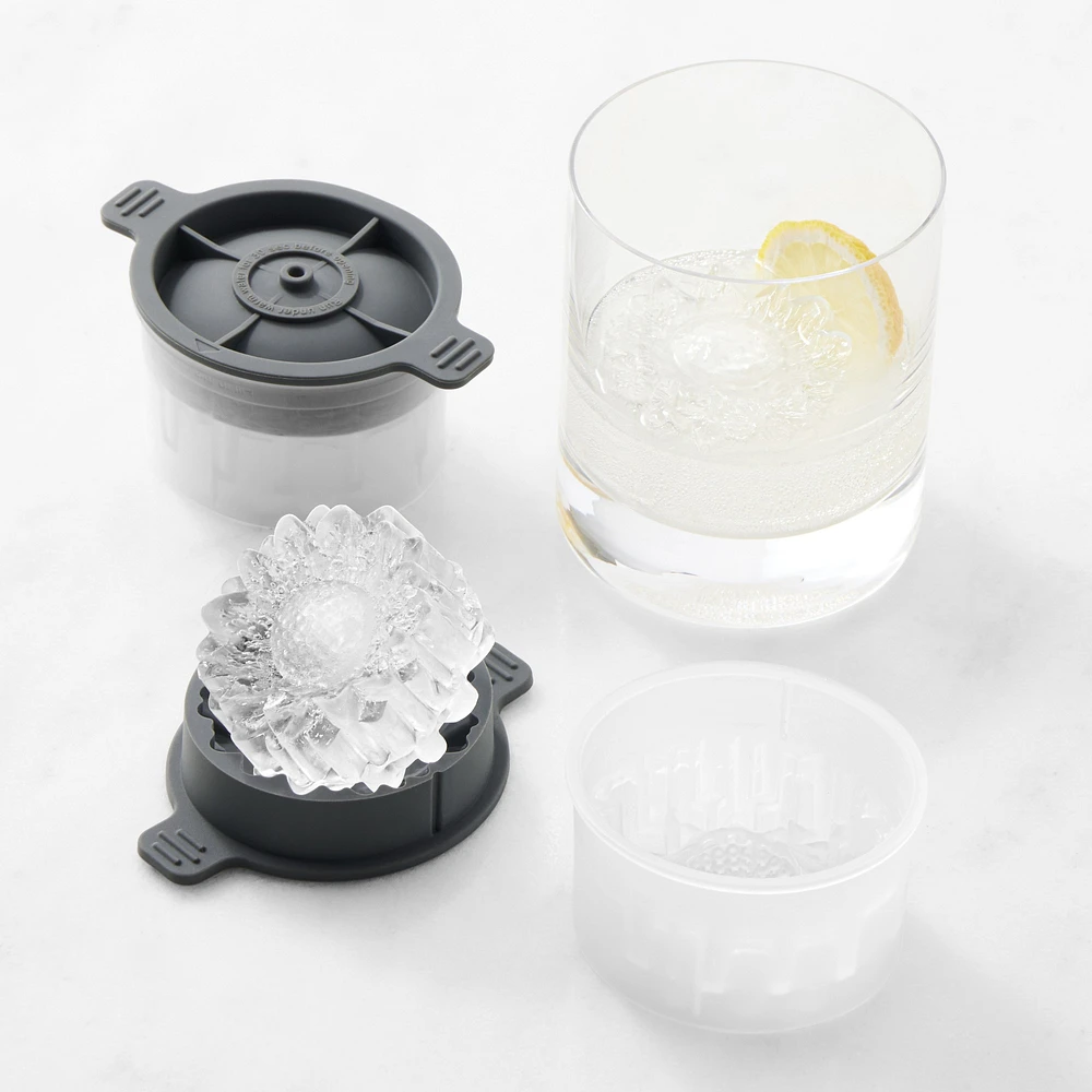 Williams Sonoma Daisy Ice Molds, Set of 2