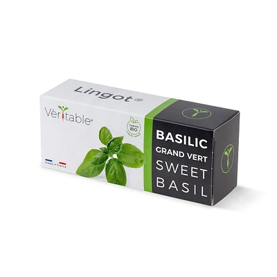 Véritable Lingot® Organic Sweet Basil