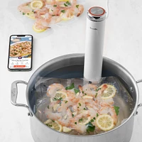 Breville Joule Turbo Sous Vide