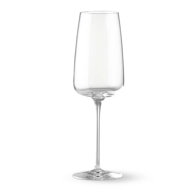 Williams Sonoma Modern Champagne Flute Glasses
