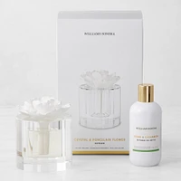 Williams Sonoma Crystal Flower Diffuser and Refill Set, Cedar and Cardamom