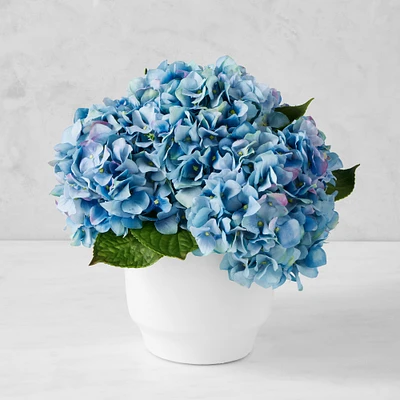 AERIN Real Touch Faux Blue Hydrangea Arrangement in White Pot