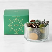 Williams Sonoma Seasonal Home Scents Iced Evergreen Potpourri