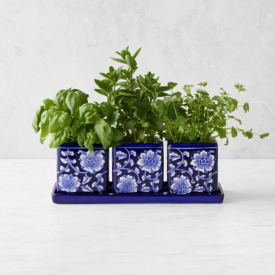 Blue & White Ceramic Herb Tray with Pots, Set of 3