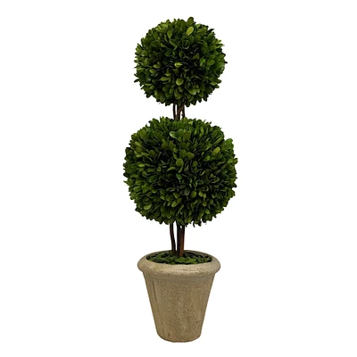 Preserved Boxwood Cone & Ball Topiary