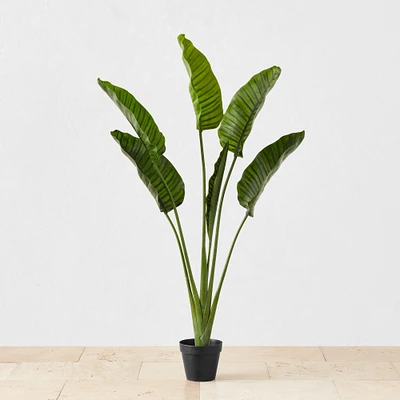 5' Faux Bird of Paradise Plant in Plastic Pot, 10 Leaves