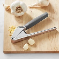 Williams Sonoma Prep Tools Garlic Press