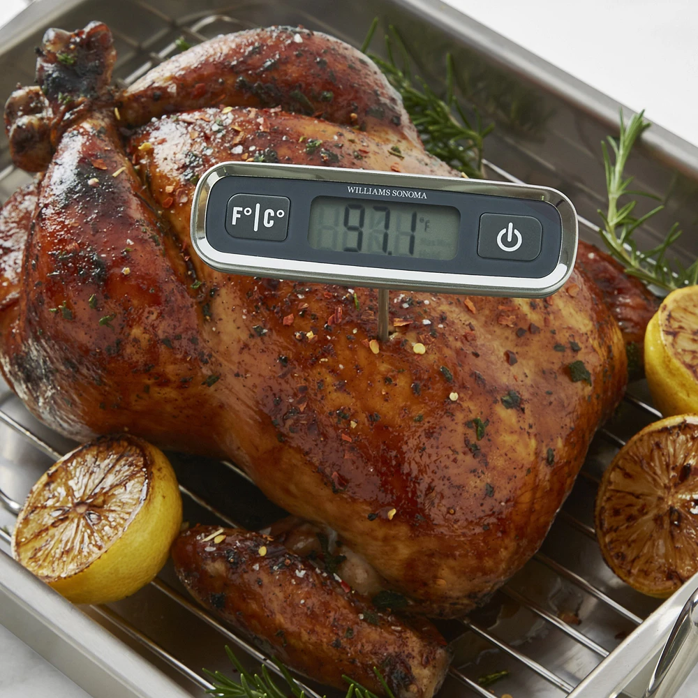 Williams Sonoma Digital Instant-Read Pen Thermometer