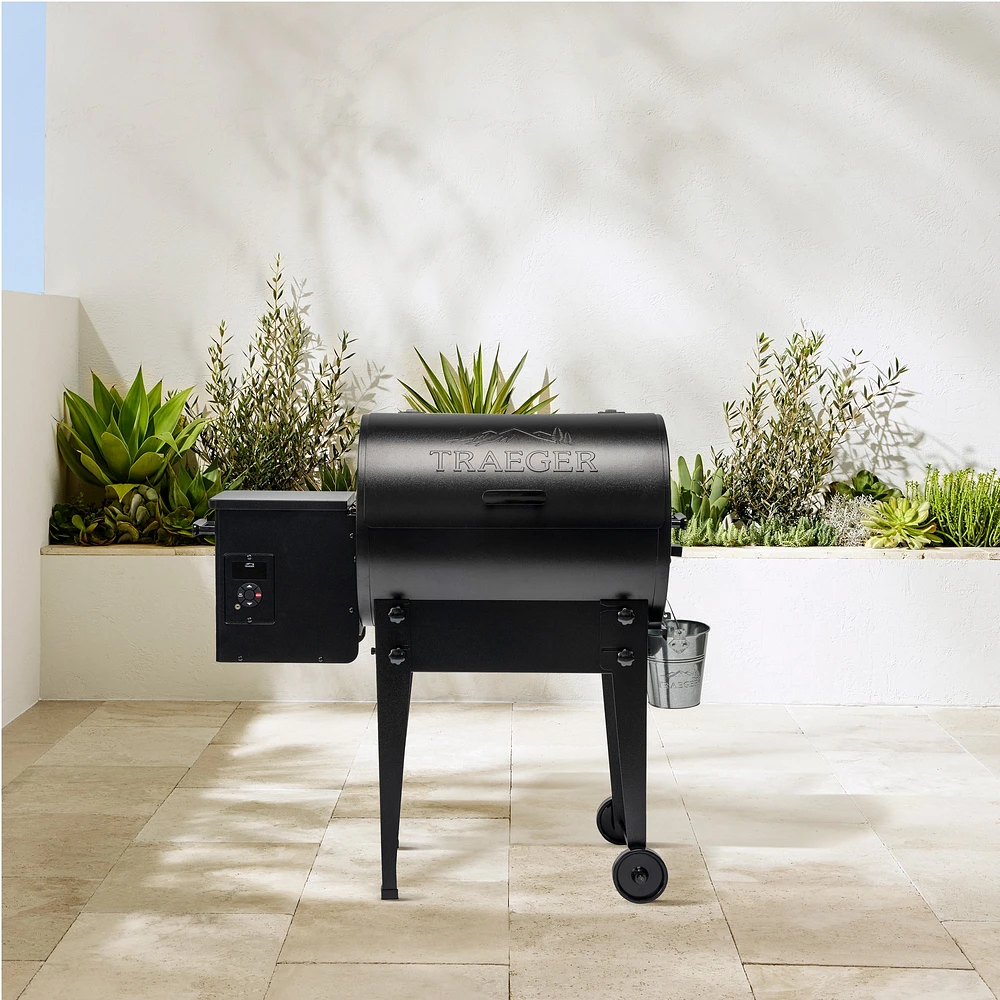 Traeger Tailgater 20