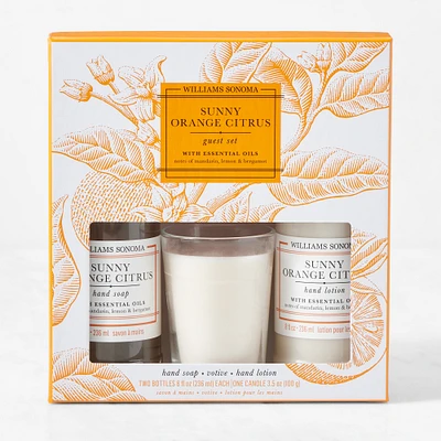 Williams Sonoma Sunny Orange Citrus Guest Set