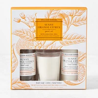 Williams Sonoma Sunny Orange Citrus Guest Set