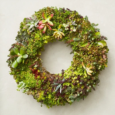Succulent Live Wreath & Centerpiece