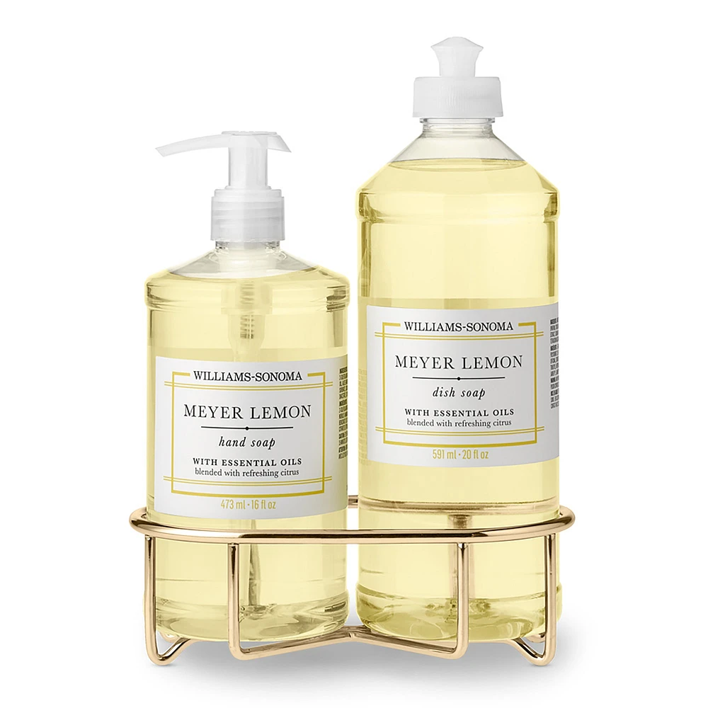 Williams Sonoma Meyer Lemon Hand Soap & Dish 3-Piece Kitchen Set