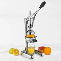 Frieling Citrus Press