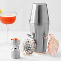 Williams Sonoma x Billy Reid Bar 5-Piece Starter Set