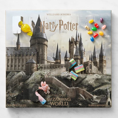 HARRY POTTER™ x Williams Sonoma Advent Calendar