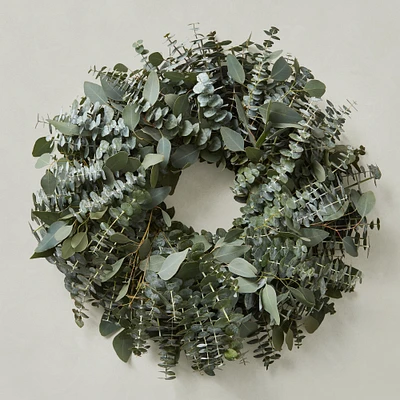 Mixed Eucalyptus Live Wreath