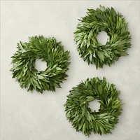 Bay Leaf Live Wreaths, Set of 3