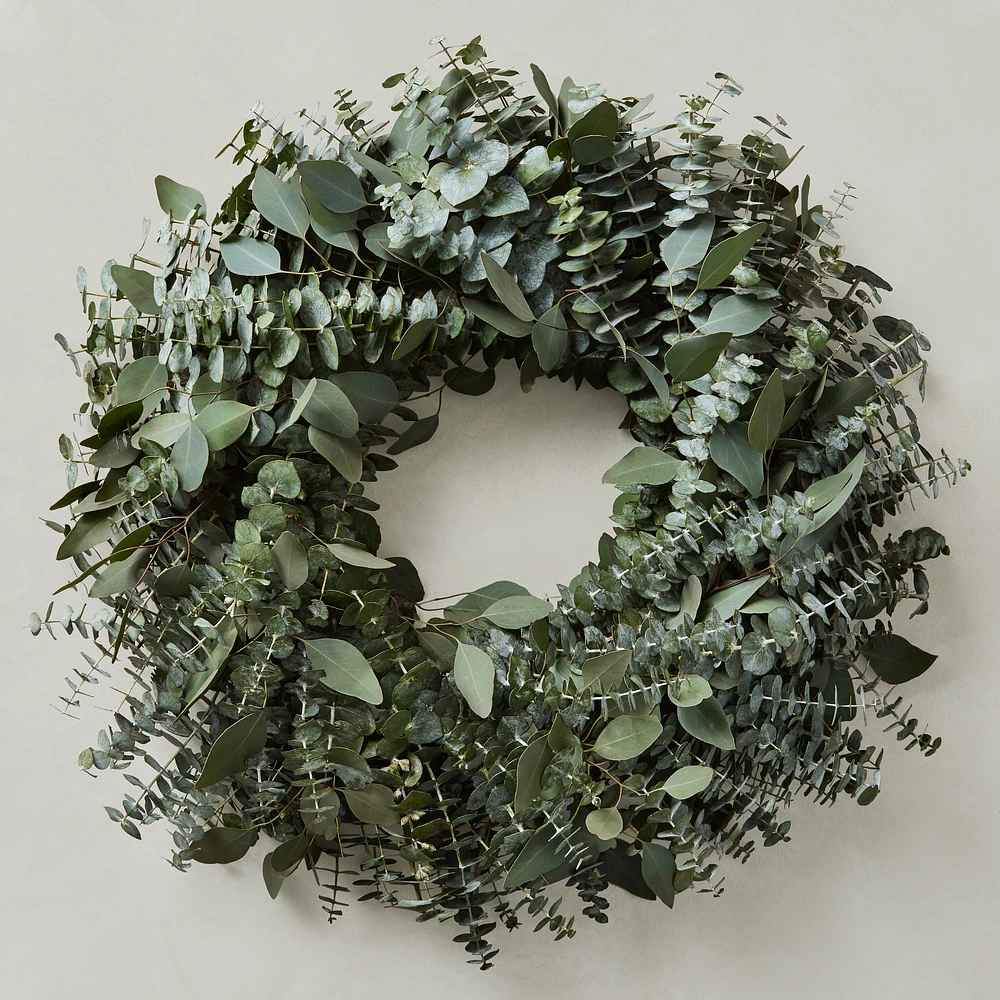 Mixed Eucalyptus Live Wreath