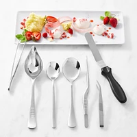 Williams Sonoma Plating Tool Kit