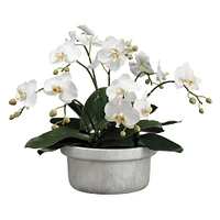 Faux Phalaenopsis Orchid in Terracotta Pot