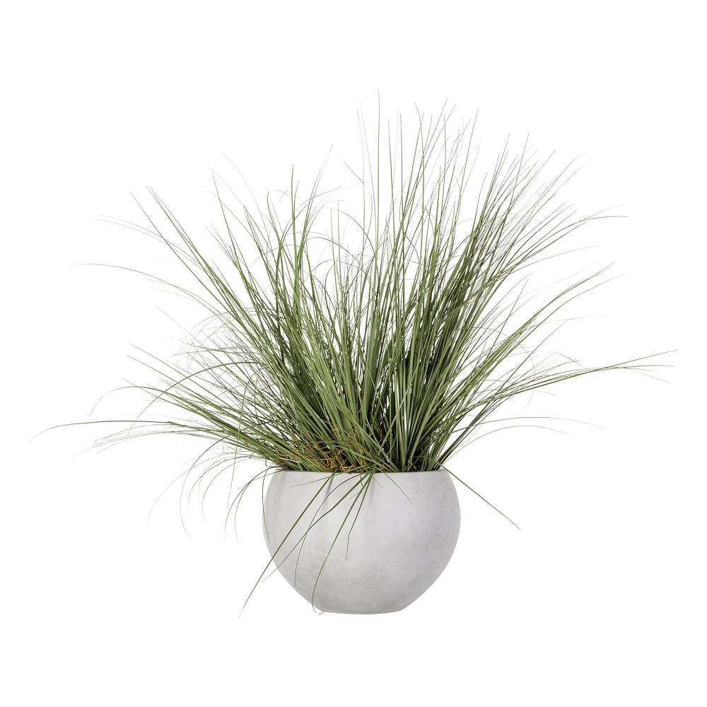 Faux Wild Grass in White Cement Pot, 44"