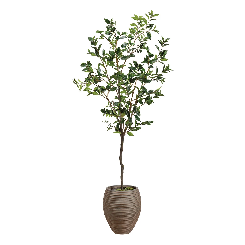 Faux Laurel Tree in Clay Pot, 6'