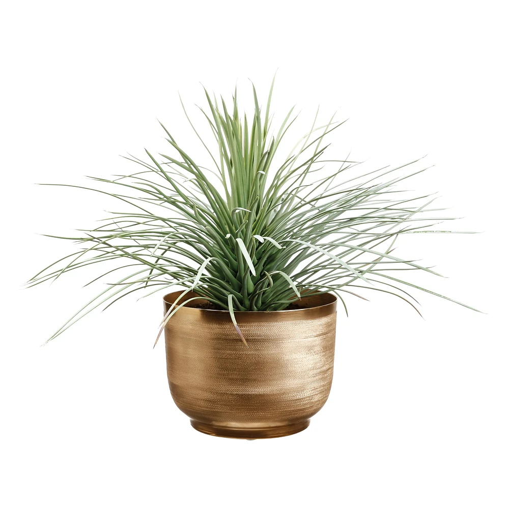 Faux Whipple Yucca Plant in Gold Planter, 23"