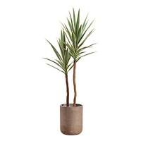 Faux Yucca Tree in Cement Pot, 56"