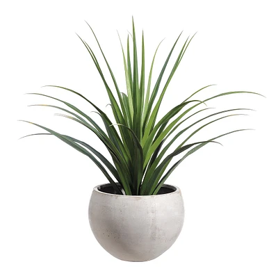 Faux Dracaena Cactus in Cement Planter, 53"