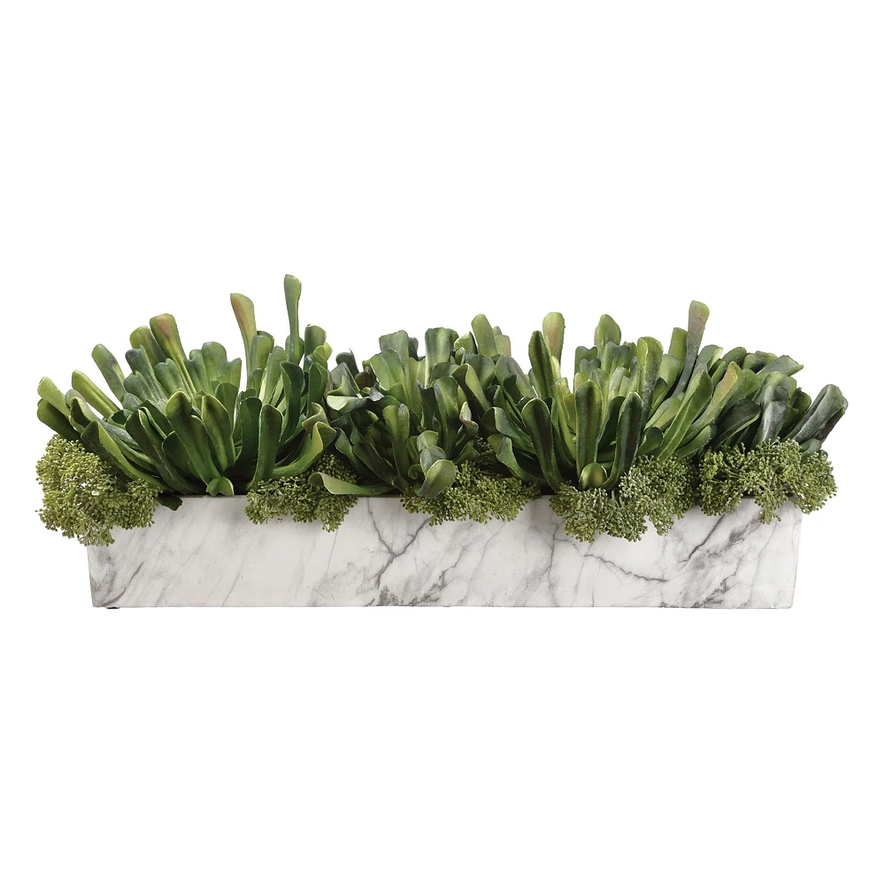 Faux Echeveria & Skimmia in Table Runner Pot, 9"