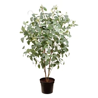 Faux Eucalyptus Plant in Planter Pot, 67"